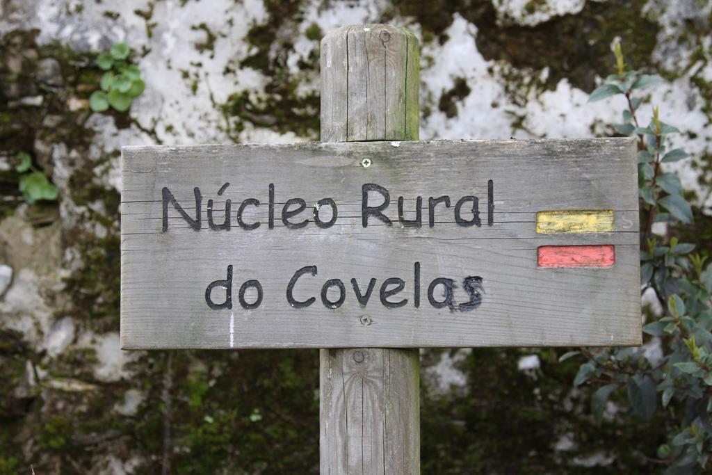 Alojamento Rural De Covelas Covelas  Экстерьер фото